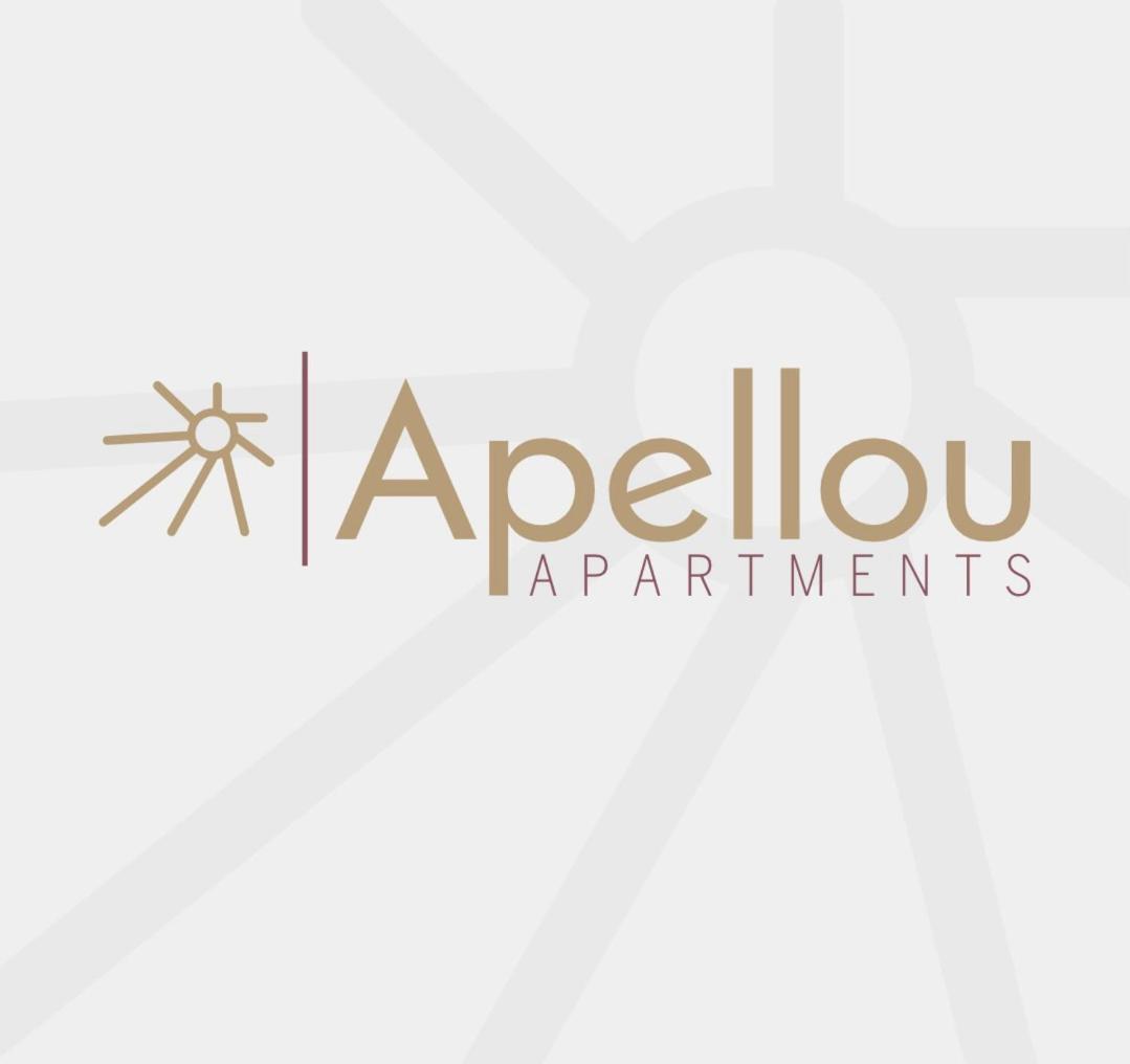 Apellou Apartments Samos Town Extérieur photo